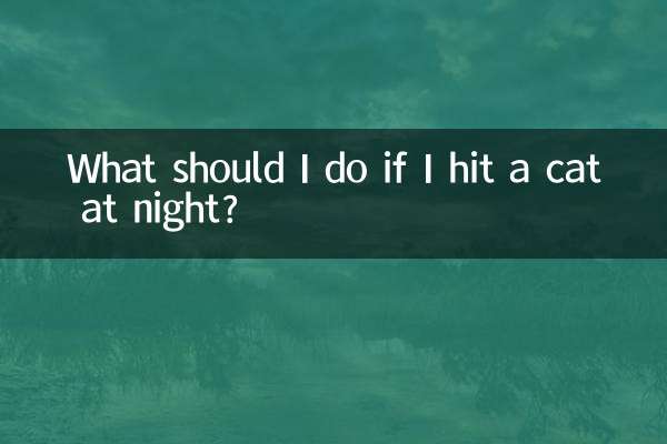 Was soll ich tun, wenn ich nachts eine Katze anfahre?