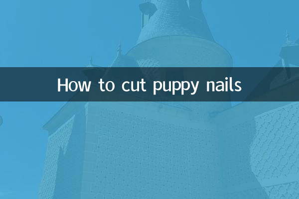 Comment couper les ongles d'un chiot