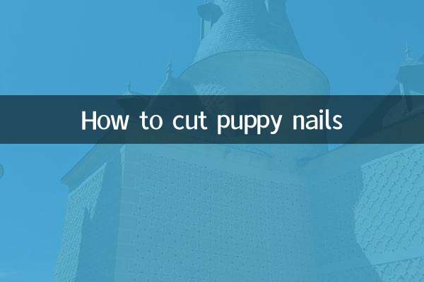 Como cortar unhas de cachorro