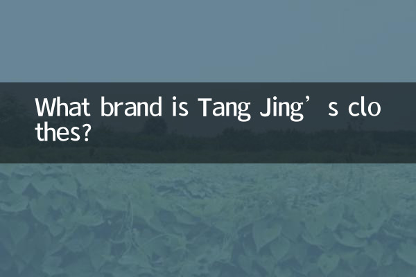 ট্যাং জিং এর পোশাক কোন ব্র্যান্ডের?