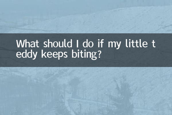 ¿Qué debo hacer si mi osito sigue mordiendo?