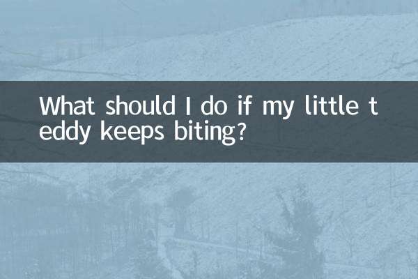 What should I do if my little teddy keeps biting?