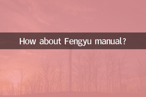 Fengyu 매뉴얼은 어떻습니까?