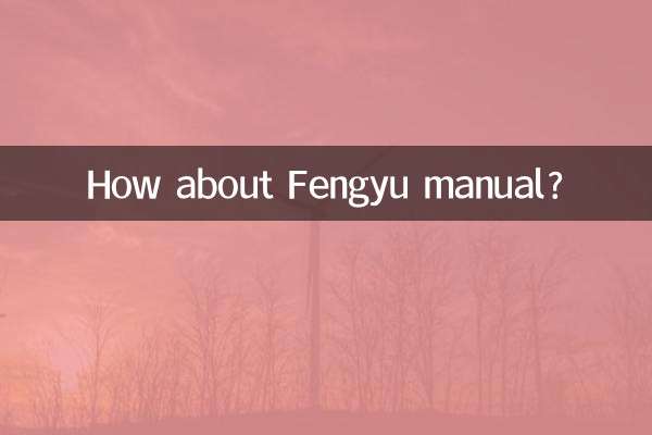 Fengyu 매뉴얼은 어떻습니까?