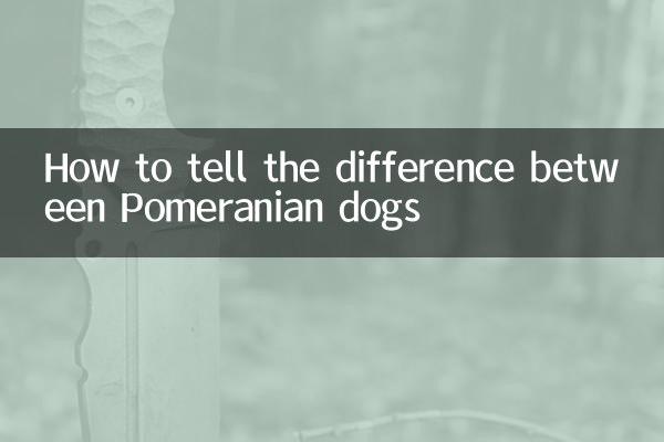 چگونه سگ های پامرانین را تشخیص دهیم؟