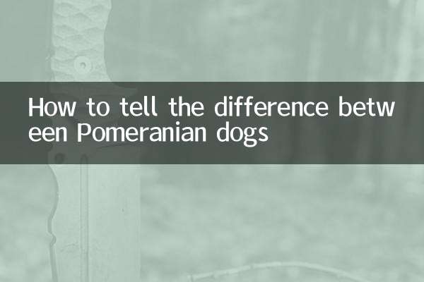 Wie erkennt man den Unterschied zwischen pommerschen Hunden?