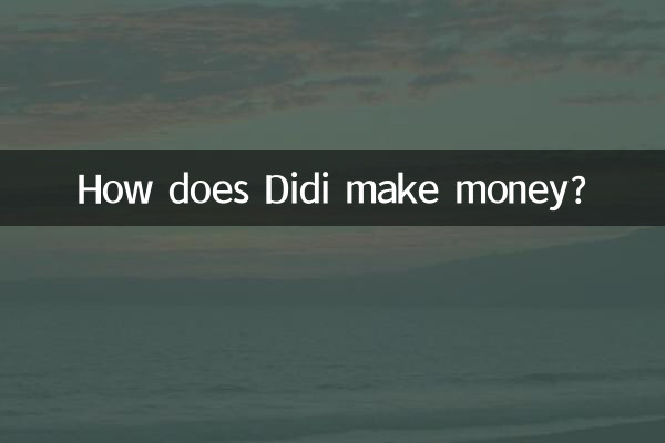 دیدی چگونه پول در می آورد؟