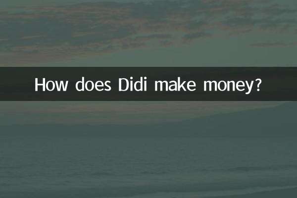 디디는 어떻게 돈을 버나요?