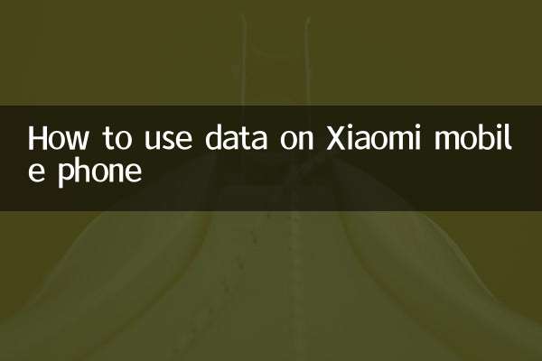 Come utilizzare i dati sul cellulare Xiaomi