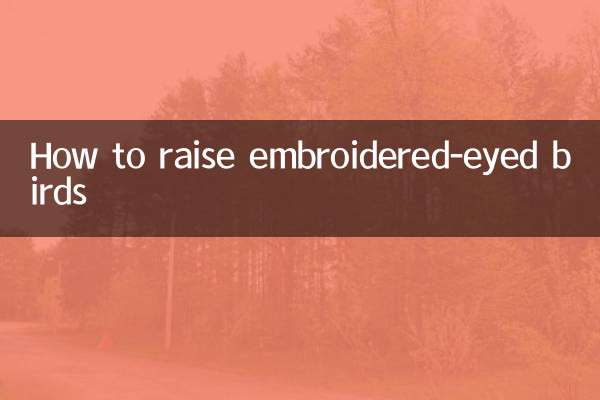 눈이 자수된 새를 키우는 방법