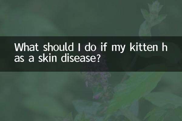 子猫が皮膚病を患っている場合はどうすればよいですか?