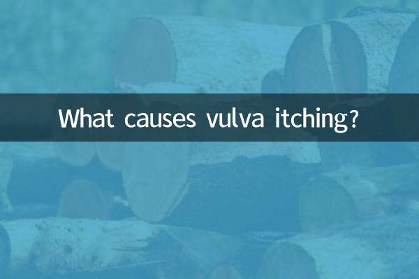 외음부 가려움증의 원인은 무엇입니까?