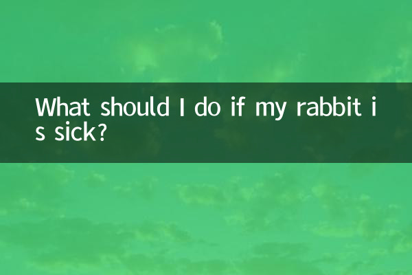 ¿Qué debo hacer si mi conejo está enfermo?