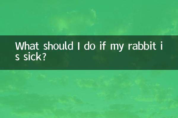 ¿Qué debo hacer si mi conejo está enfermo?