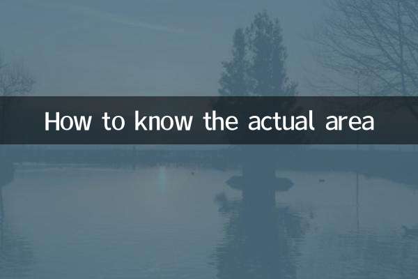 Cómo saber el área real