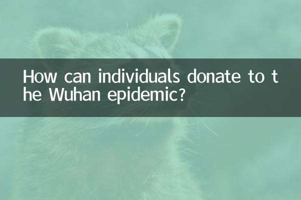 Wie können Einzelpersonen gegen die Wuhan-Epidemie spenden?
