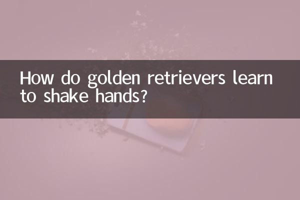 ¿Cómo aprenden los golden retrievers a dar la mano?