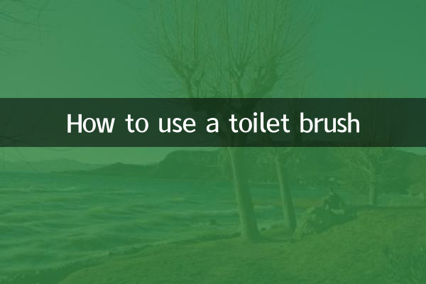馬桶刷怎麼用