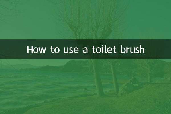 馬桶刷怎麼用