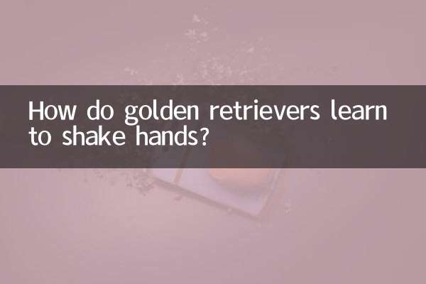 ¿Cómo aprenden los golden retrievers a dar la mano?