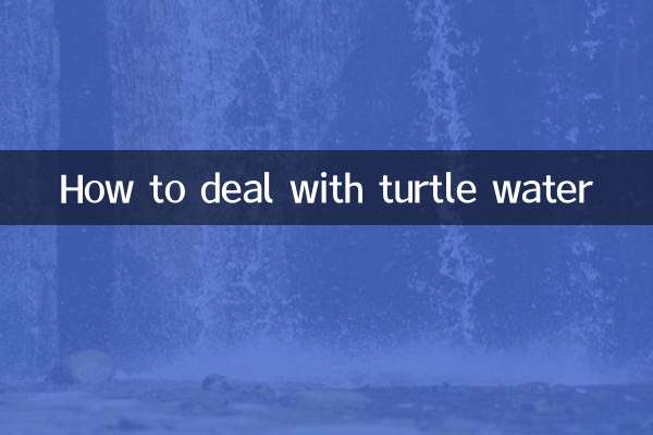 How to deal with turtle water