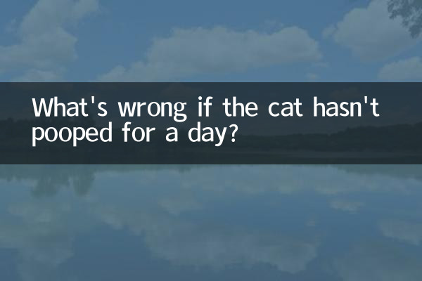 What's wrong if the cat hasn't pooped for a day?