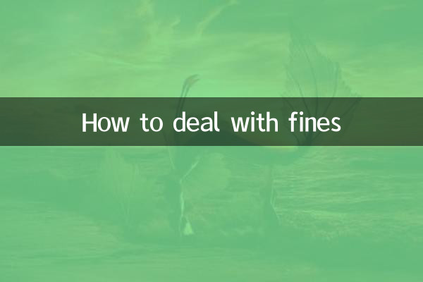 نحوه برخورد با جریمه