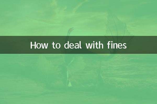 نحوه برخورد با جریمه