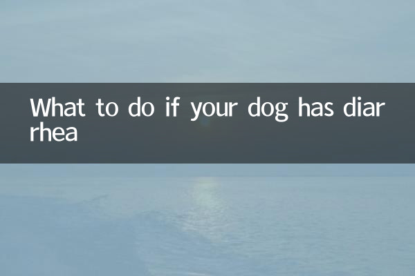 यदि आपके कुत्ते को दस्त हो तो क्या करें?