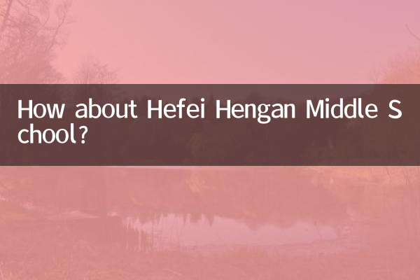 허페이 헝안 중학교는 어떻습니까?