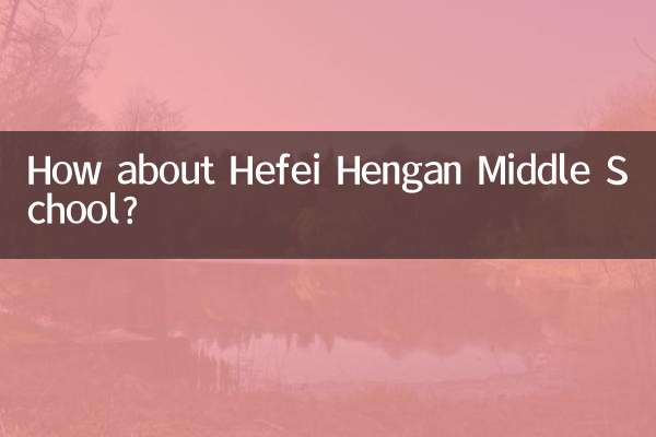 허페이 헝안 중학교는 어떻습니까?