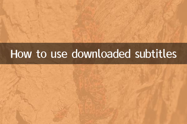 How to use downloaded subtitles