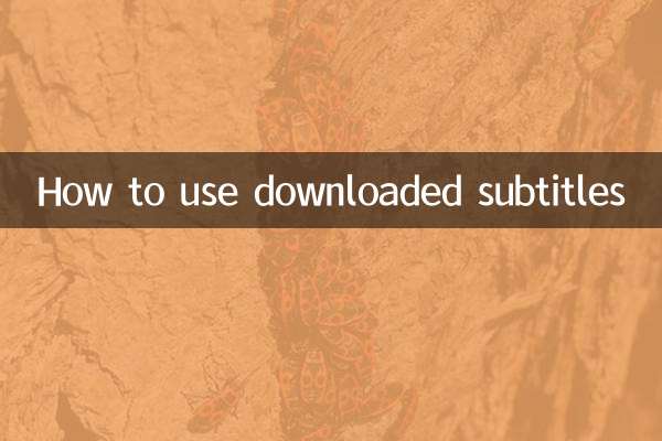 How to use downloaded subtitles