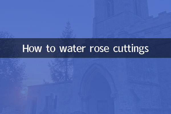How to water rose cuttings