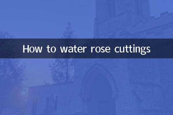 How to water rose cuttings