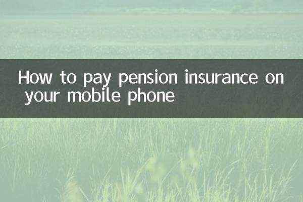 携帯電話で年金保険を支払う方法