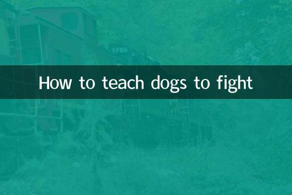 犬に戦うように教える方法