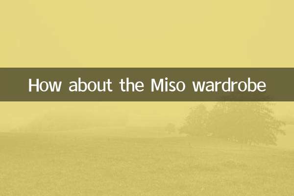 Wie wäre es mit der Miso -Garderobe