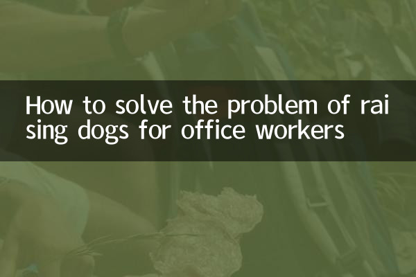 So lösen Sie das Problem der Erziehung von Hunden für Büroangestellte