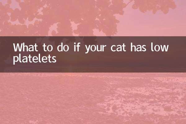 Que faire si votre chat a un faible taux de plaquettes