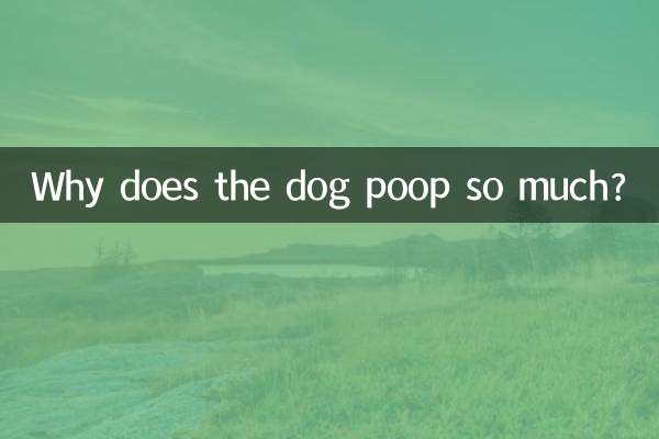 Warum kackt der Hund so viel?