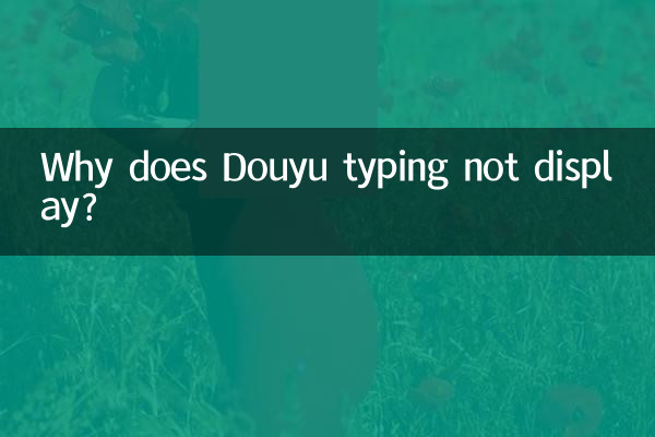 Douyu 입력이 표시되지 않는 이유는 무엇입니까?