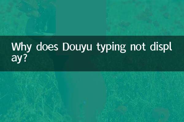 Warum wird die Douyu-Eingabe nicht angezeigt?
