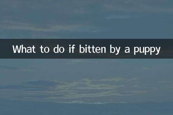 Что делать, если укусил щенок