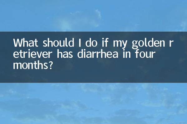 四個月金毛拉稀怎麼辦