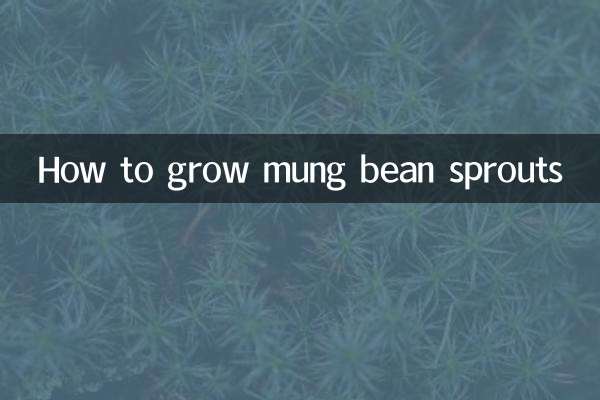 녹두나물 키우는 방법