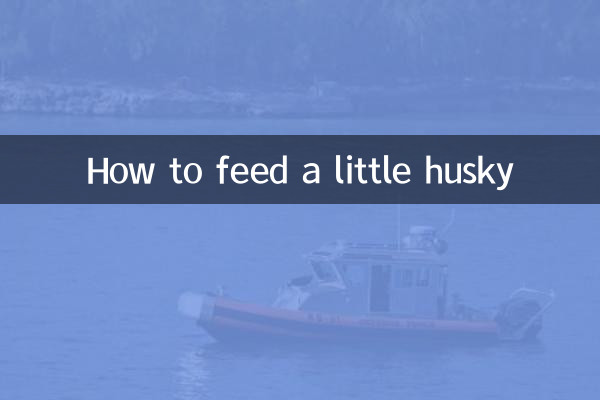 Come nutrire un piccolo husky