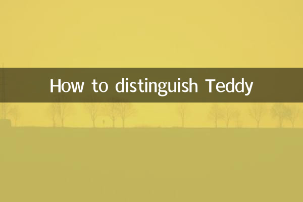 Comment distinguer Teddy