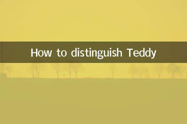 Comment distinguer Teddy