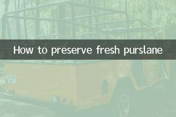 ताजा पर्सलेन को कैसे संरक्षित करें